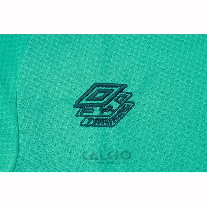 Tuta da Track Fluminense Manica Corta 2025-2026 Verde - Pantaloncini